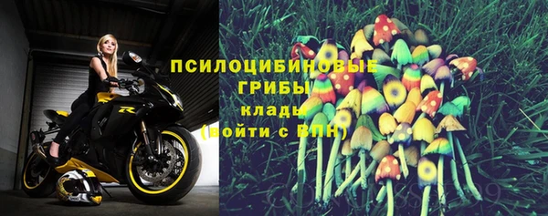 эйфоретик Абинск