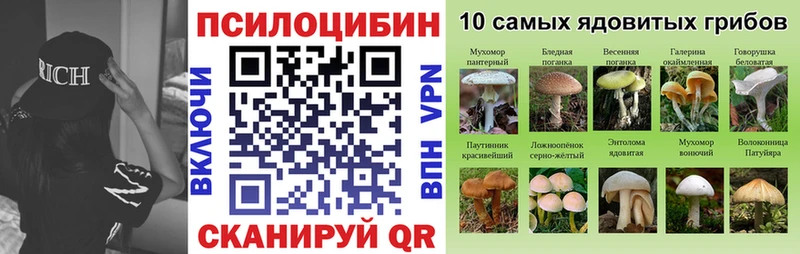 Псилоцибиновые грибы мицелий Западная Двина
