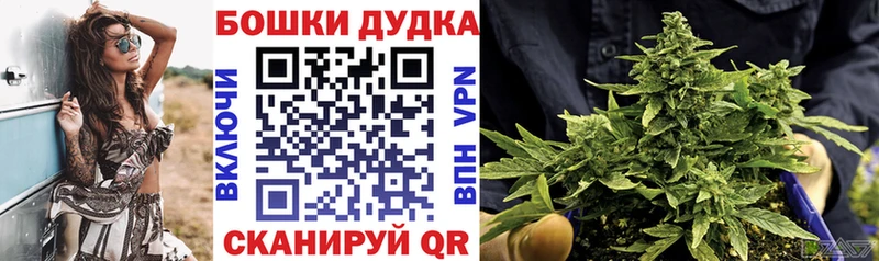 где можно купить   Западная Двина  Шишки марихуана тримм 